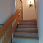 Galeb דירה *