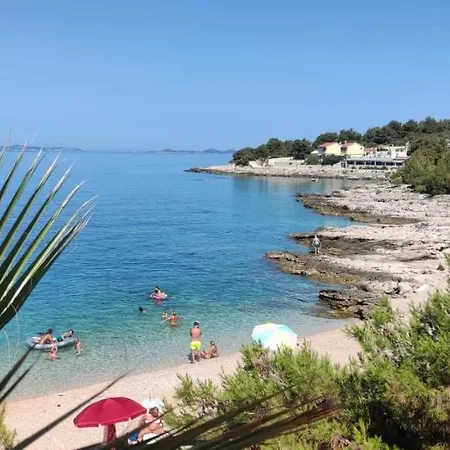 Galeb