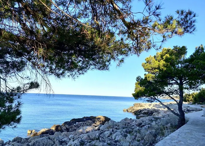 Galeb Appartement Primošten